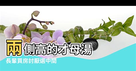 扁擔屋化解|長輩買房討厭選中間？ 江柏樂：「肩胛雙頭擔」壓力比較大